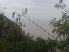 -花岙岛