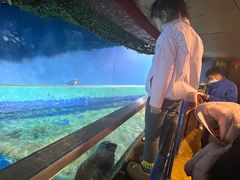 -太平洋海底世界