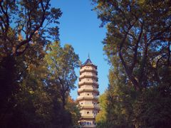 -灵谷景区