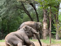 -北京野生动物园
