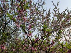 -龙潭生态旅游度假区