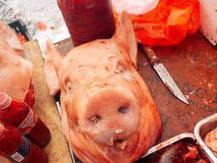 -蒲河大集