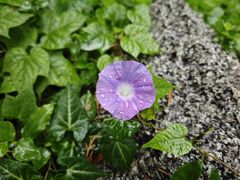 -峄山风景名胜区