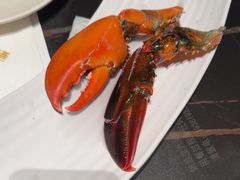 -雍容荟活波龙自助餐(IFS黑金店)