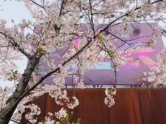 -龙美术馆(西岸馆)