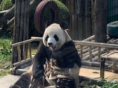 -大连森林动物园