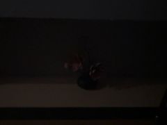 -和里合·颜愈SPA·Relax瑶浴·Massage(石厦店)