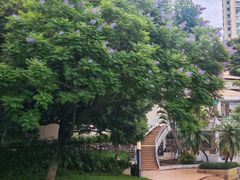-黄鹤天厨·泡椒田鸡创始者(莲花店)