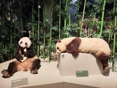-深圳博物馆(古代艺术馆)