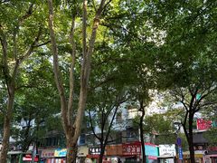 -贵阳北天主教堂