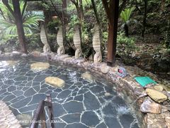 -明月山天沐温泉度假村