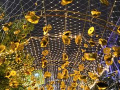 -锦江乐园舞狸花花游园会(夜场专享)