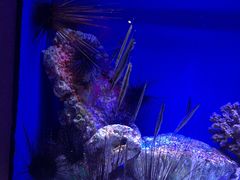 -上海海洋水族馆