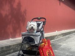 -南岳衡山风景名胜区-南岳大庙