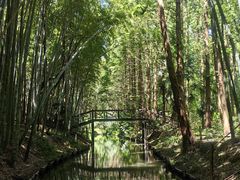 -同里国家湿地公园