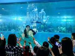 -苏州海洋馆