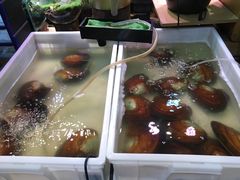 -十八字金·银饰·拼豆·开蚌DIY(魏公芳华里店)