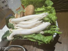 -盒马鲜生(领丰汇店)