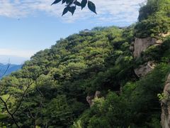 -大岭沟猕猴桃谷风景区