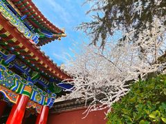 -西安市广仁寺