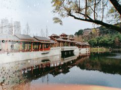-重庆彩云湖湿地公园