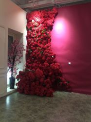 -戛纳印象摄影(潮拍定制馆)