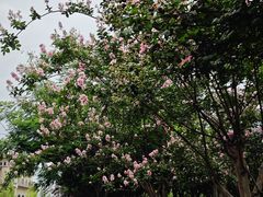 -府河摄影公园