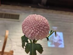 -旧雨咖啡·CoffeeFORU(黄村奥体店)