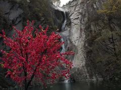 -尧山风景区