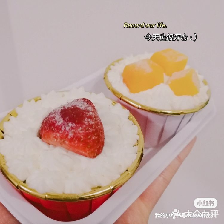 【蜜夏•烘焙】胖胖杯+发财杯+杯子蛋糕