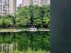 -四海公园(南山区)