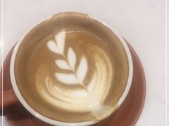 -echoes coffee回响咖啡(红山店)