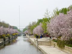 -海棠花溪(元大都城垣遗址公园)