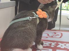 -御宝贝24h宠物医院·转诊中心·CT核磁血透中心(厦门总院)