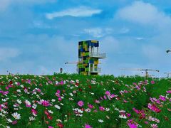 -春花秋色城市公园