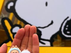 -中粮·祥云小镇