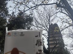 -西安博物院