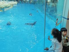 -帝企鹅自助餐厅•儿童岛•真企鹅(长隆企鹅酒店)