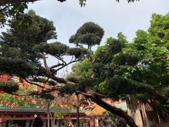 -仁寿寺