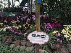-南山植物园