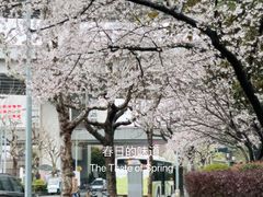 -南浦大桥长途旅游客运站