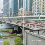 在深圳‼️这家蒸海鲜没有对手啊