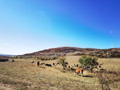 -塞罕坝国家级自然保护区