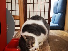 -解忧集市(北京路天河城店)