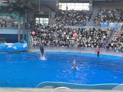 -海合安成都极地海洋公园