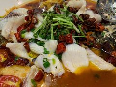 水煮鱼-大树头森林餐厅(番禺广场店)