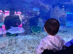 -沙沙哗啦海洋馆(华宇百花谷店)