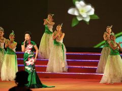 -南京奥林匹克体育中心-体育馆