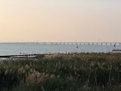 -芒洲湿地公园