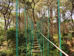 -芦仙山景区-飞越丛林探险乐园